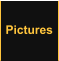 Pictures